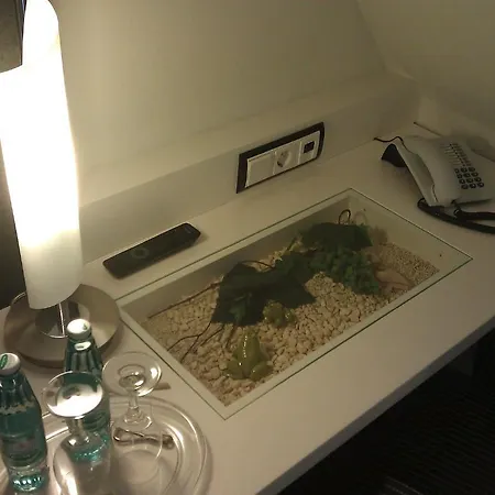 Pensionat Spundloch- & Weinrestaurant Veitshöchheim